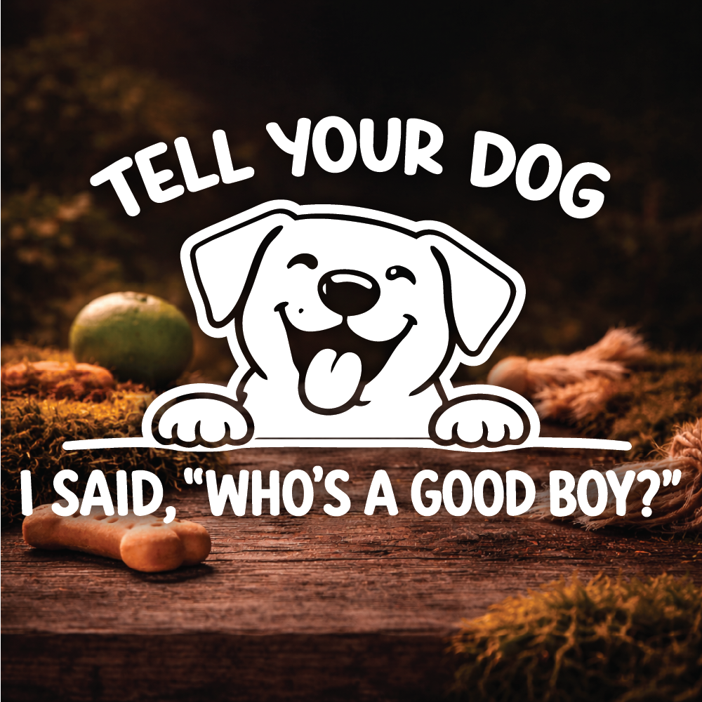 Who's A Good Boy?