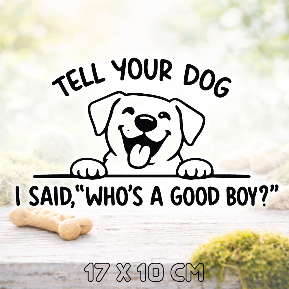 Who's A Good Boy?