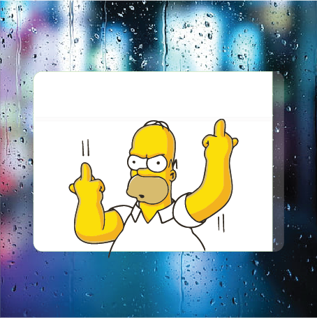 Homer's Flippin
