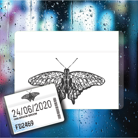 Solo Butterfly Tahi