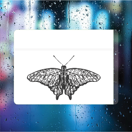 Solo Butterfly Tahi
