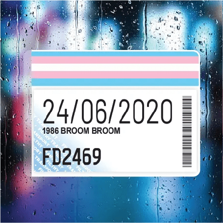 Transgender Flag - Filthy Dog Decals