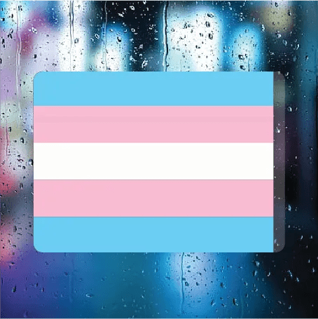 Transgender Flag - Filthy Dog Decals