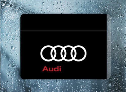 Audi Sport - Filthy Dog Decals