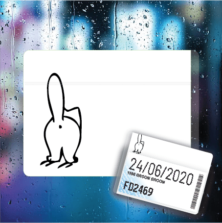 Cat Bum - Filthy Dog Decals