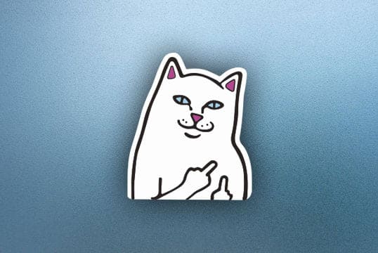 FU Cat - Sticker - Filthy Dog Decals