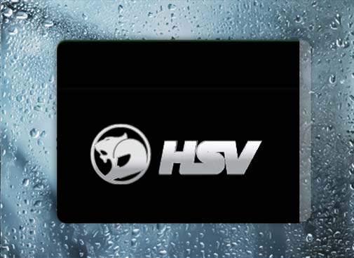 HSV Silver - Filthy Dog Decals