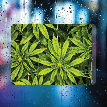 Mary Jane 420 - Filthy Dog Decals