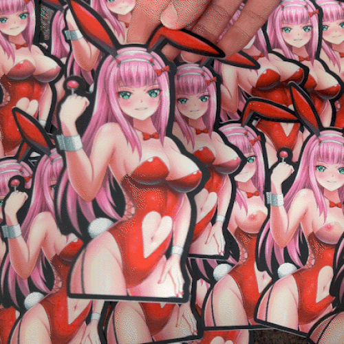 R18 Bunny Girl - Filthy Dog Decals