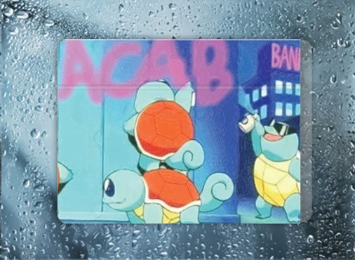 Squirtle - Filthy Dog Decals