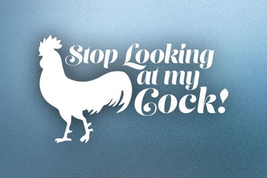 Stop looking at my Cock! - Sticker - Filthy Dog Decals