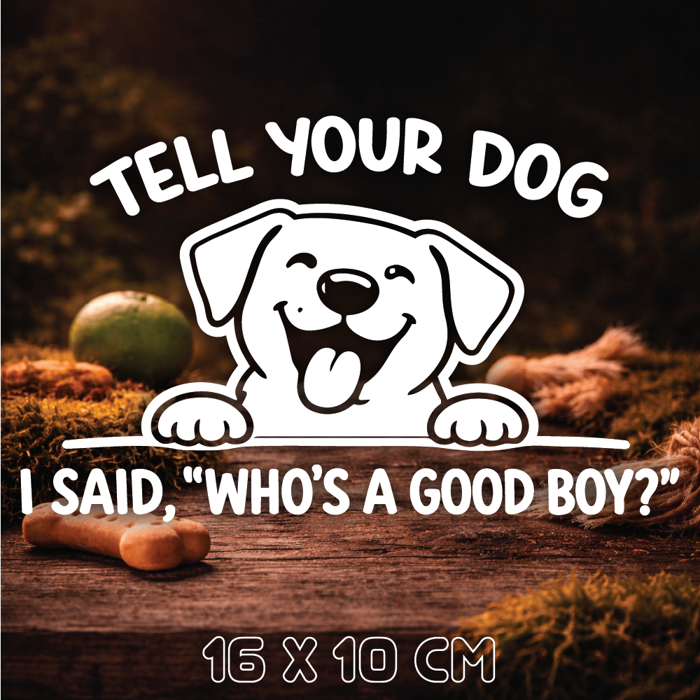 Who's A Good Boy?