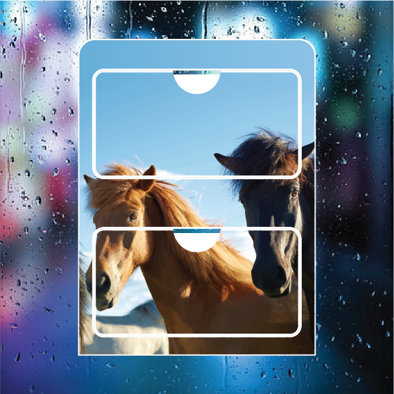 Horses - Double Pocket Rego/RUC Holder
