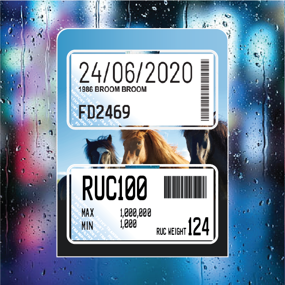 Horses - Double Pocket Rego/RUC Holder