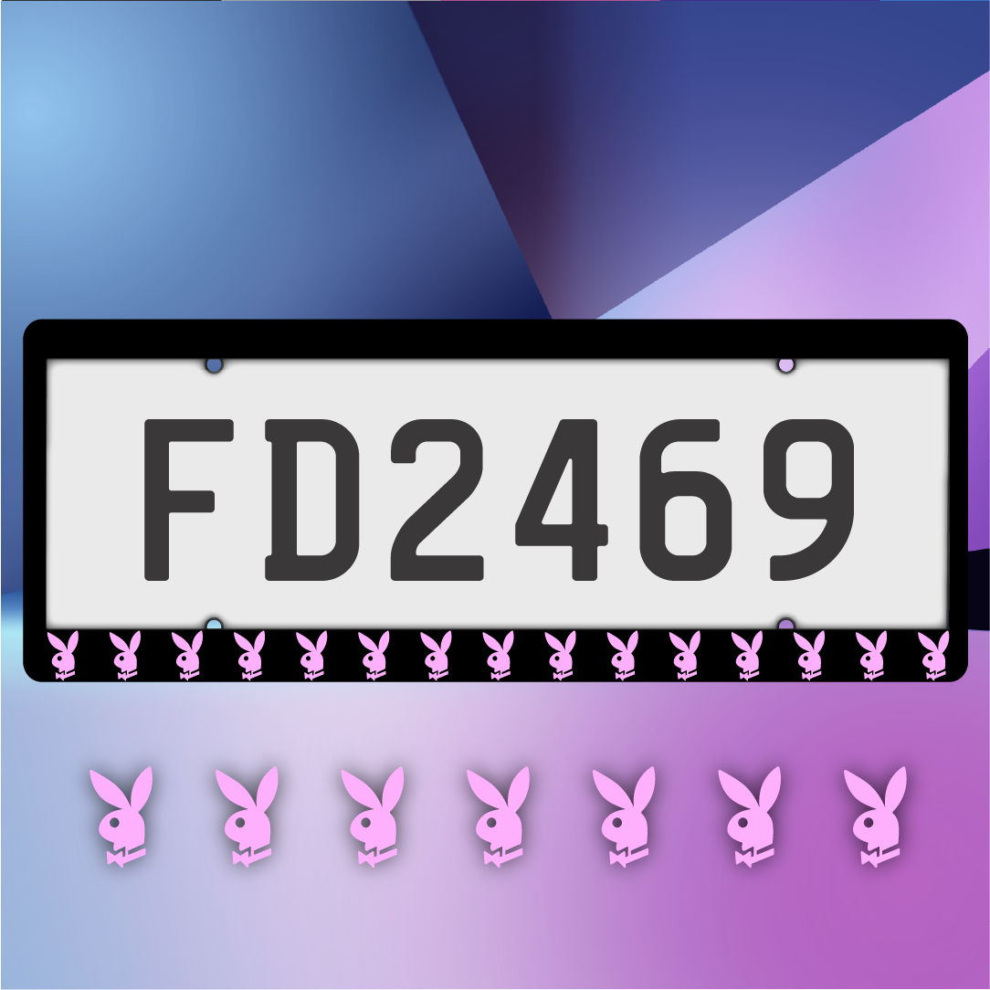 Playboy Bunny Plate Frames
