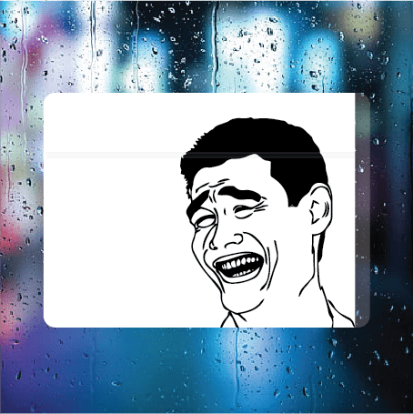 Filthy Dog Decals - Haha Meme