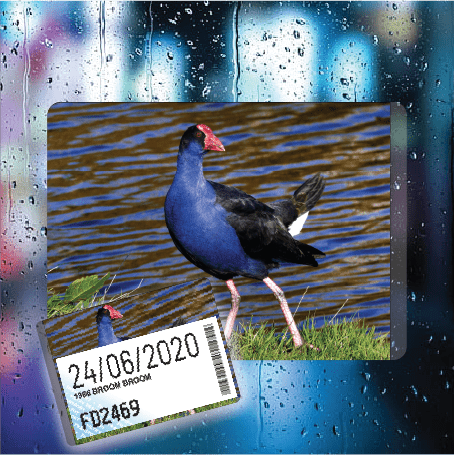 Pukeko - Filthy Dog Decals